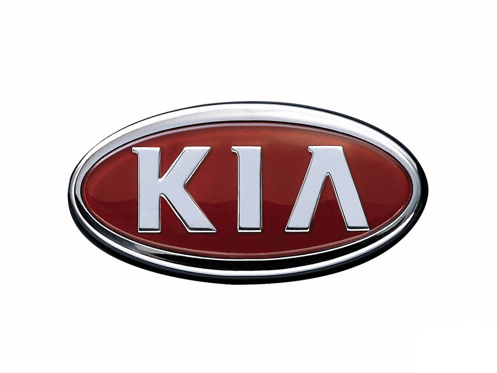 Промывка инжектора Kia Rio в Москве, цены - АвтоГЕРМЕС